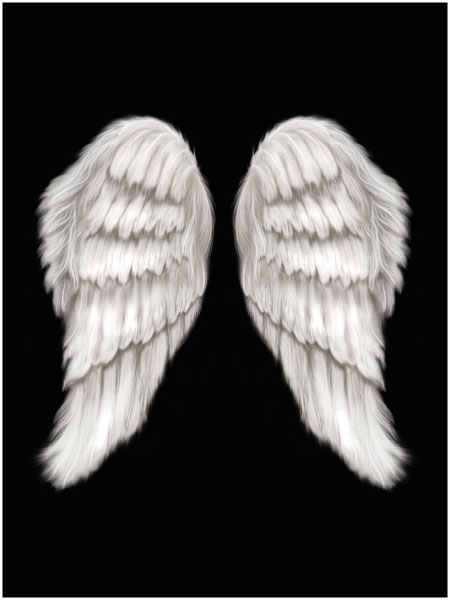 Black Angel Wings 