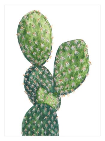 Green Cactus No1