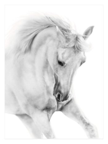 White Horse No3