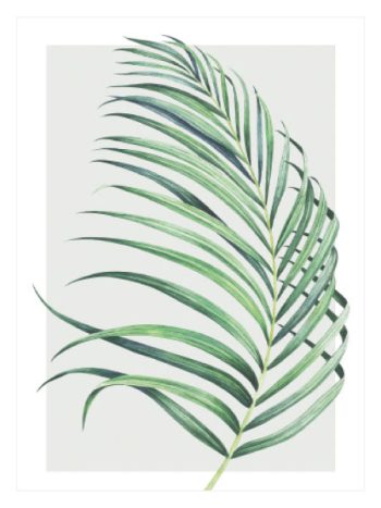 Watercolor Palm Leaf No2