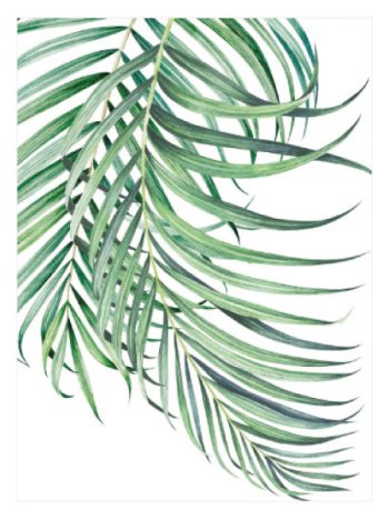 Watercolor Palm Leaf No1