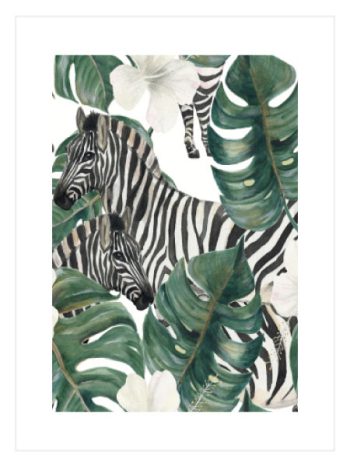Zebras and Monstera
