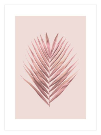 Pink Palm Leave