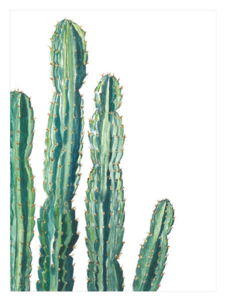 Green Cactus No2 