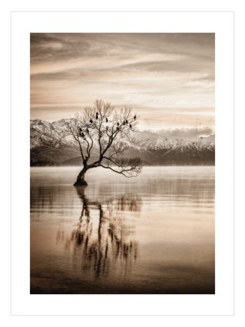 Lonely Tree Reflection Poster – Sepya Göl Manzaralı Yalnız Ağaç Duvar Posteri