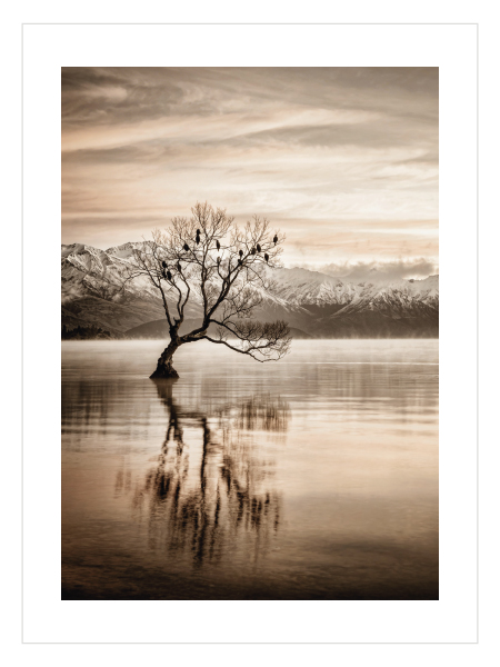 Lonely Tree Reflection Poster – Sepya Göl Manzaralı Yalnız Ağaç Duvar Posteri