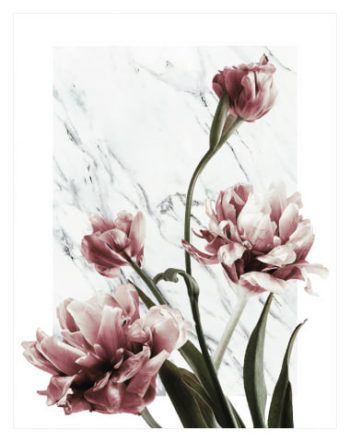 Peonies On Marble No1