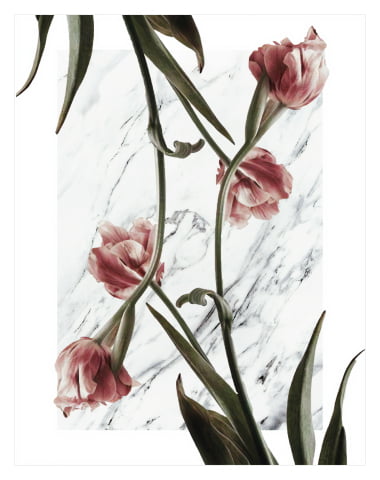 Peonies On Marble No3 