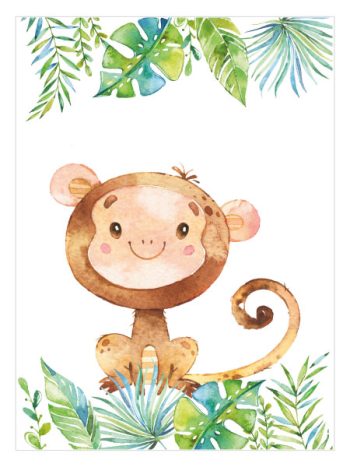 Safari Monkey