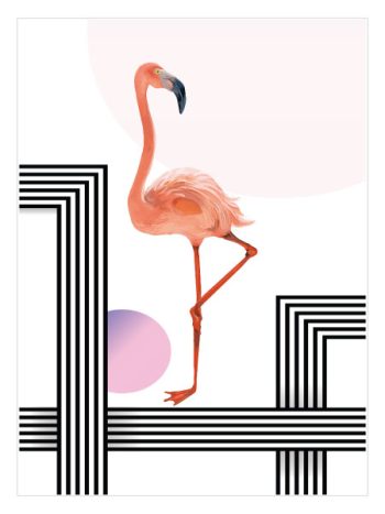 Shapes And Flamingo