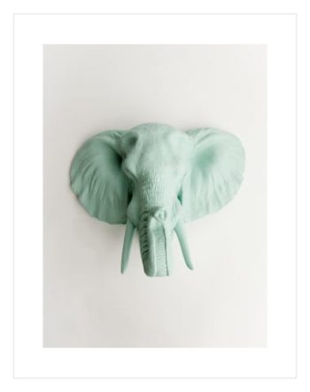 Elephant Bust