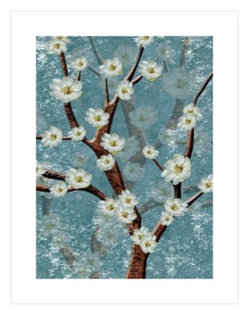 Almond Blossom No2
