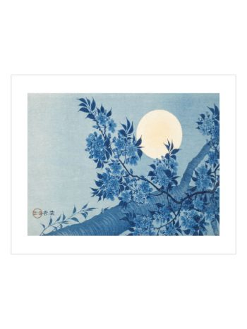 Blossoming Cherry on a Moonlit Night by Ohara Koson