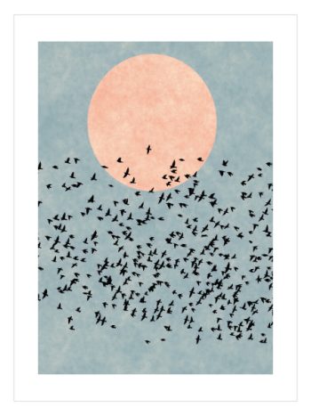 Bird Fly Away