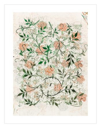 Jasmine by William Morris