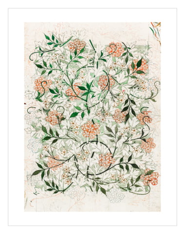 Jasmine by William Morris 
