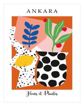 Ankara / Fleurs et Plantes