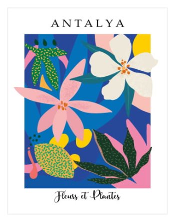 Antalya / Fleurs et Plantes