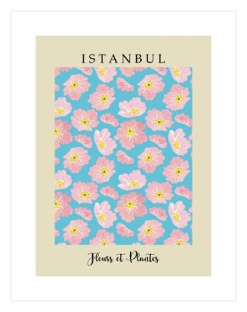 Istanbul / Fleurs et Plantes