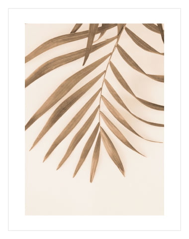 Beige Palm Leave 