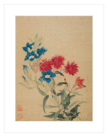 Blue Gentiana and Red Lychnis by Ma Yuanyu