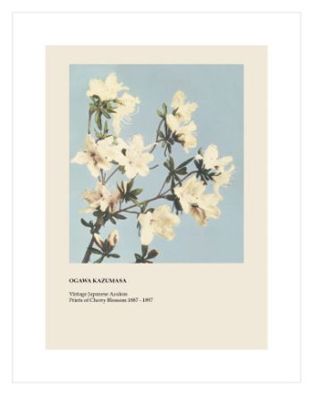 Vintage Flowers by Ogawa Kazusama No1