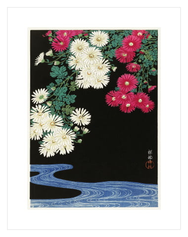 Chrysanthemums by Ohara Koson 