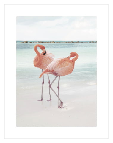 Twice Flamingo 