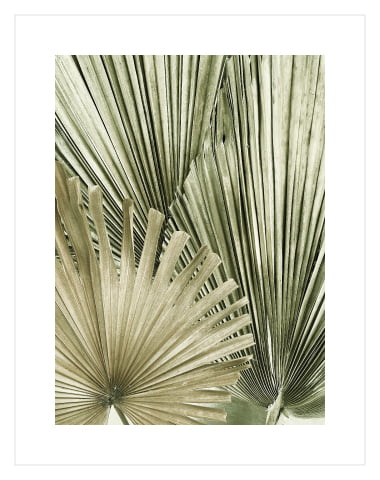 Tropical Palm Leaves 
