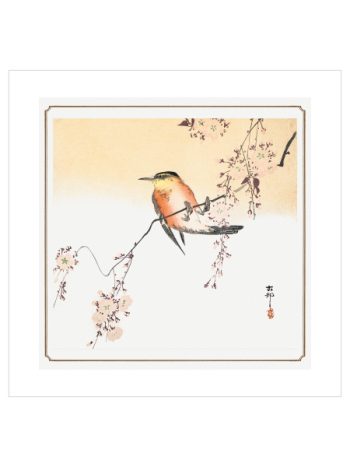 Songbird and Blossoming Cherry by Ohara Koson