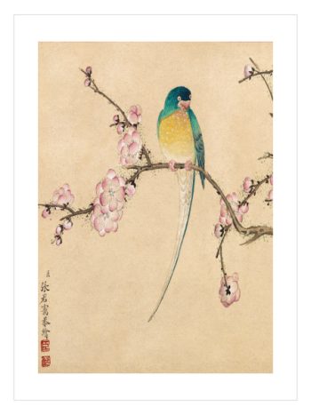 Bird with Plum Blossoms