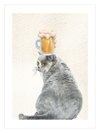 Beer and Cat