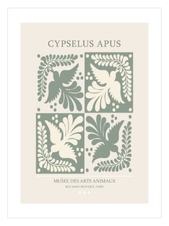 Cypselus Apus