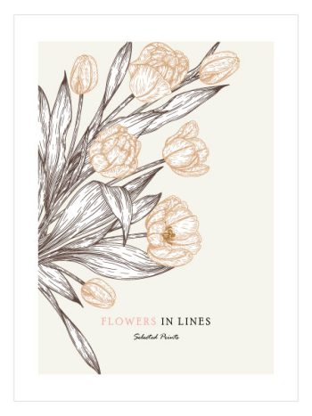 Flowers in Lines No1