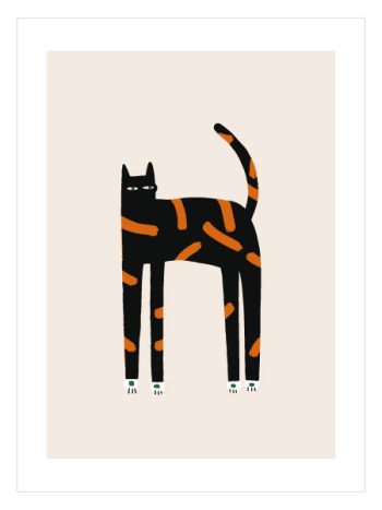 Black Orange Cat