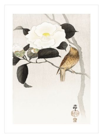 Songbird and Flowering Camellia
