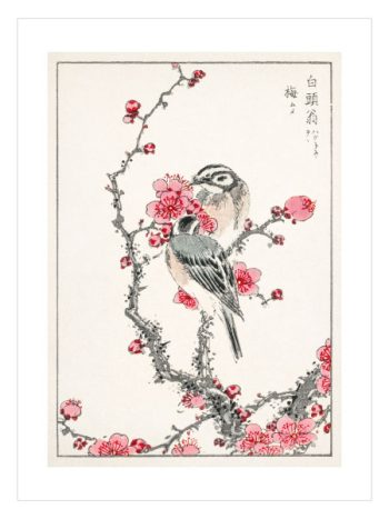 Pictorial Monograph of Birds by Numata Kashu No4