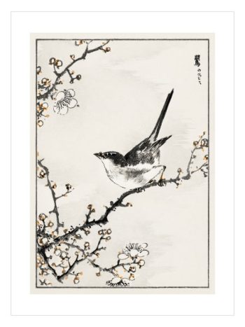 Pictorial Monograph of Birds by Numata Kashu No1