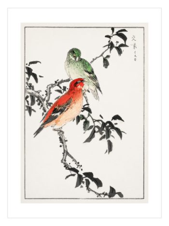 Pictorial Monograph of Birds by Numata Kashu No3