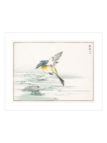 Pictorial Monograph of Birds by Numata Kashu No8