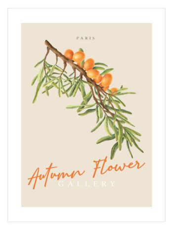 Paris Autumn Flower Gallery