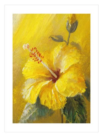 Hibiscus Flower