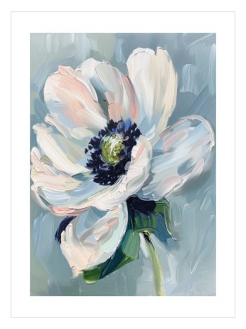 Anemone Flower