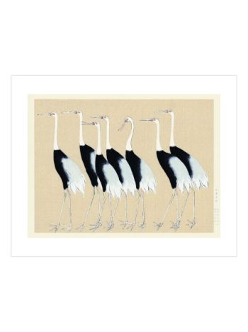 Beige Birds