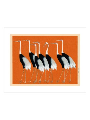Orange Birds