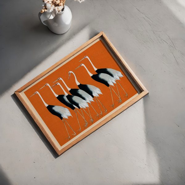 Orange Birds - Görsel 3