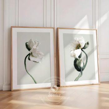 White Poppies Set