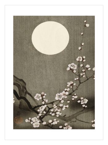 Blooming Plum Full Moon by Ohara Koson