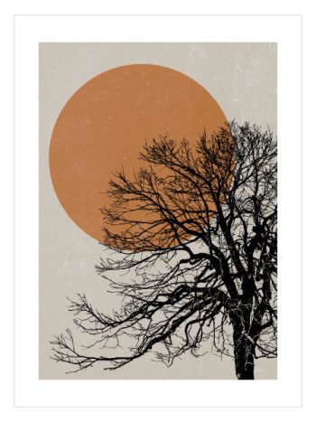 Orange Tree Life
