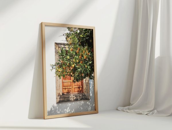 Orange Tree by Window Sunny Day - Görsel 3